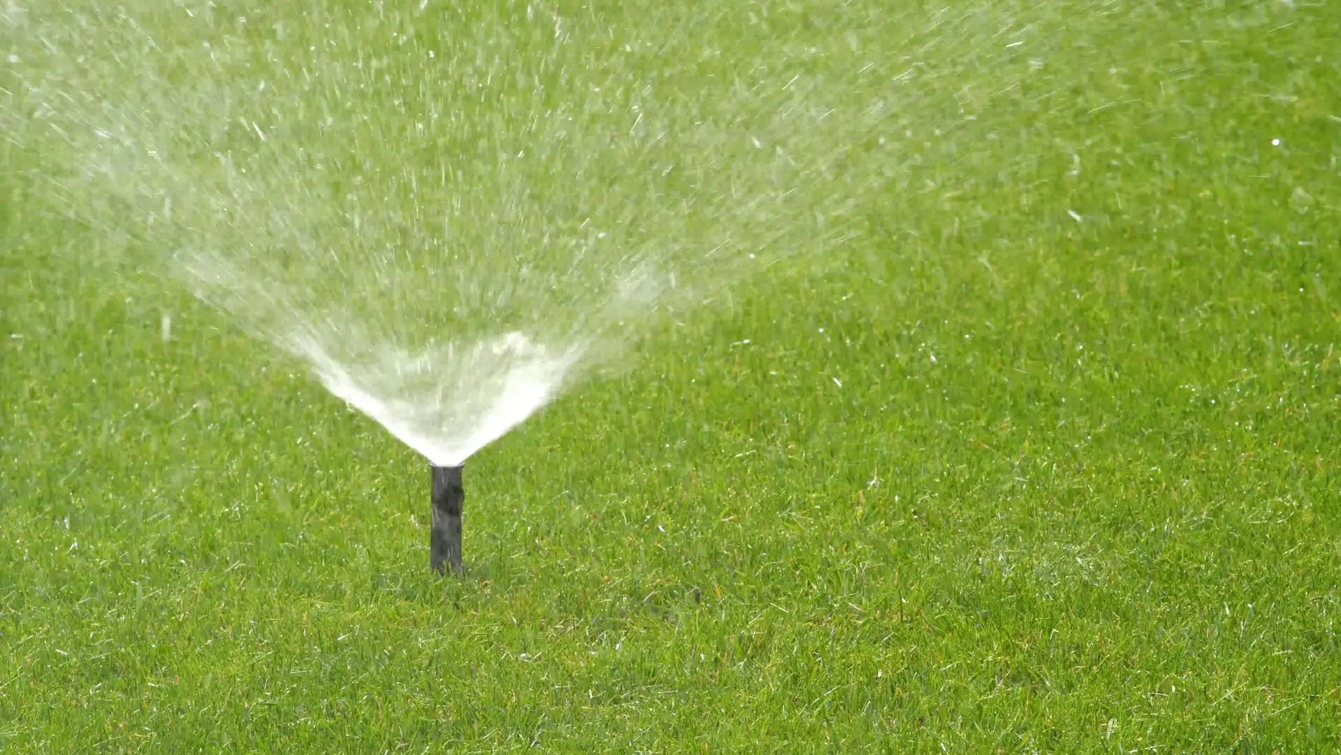 Lawn sprinkler spraying water over green grass