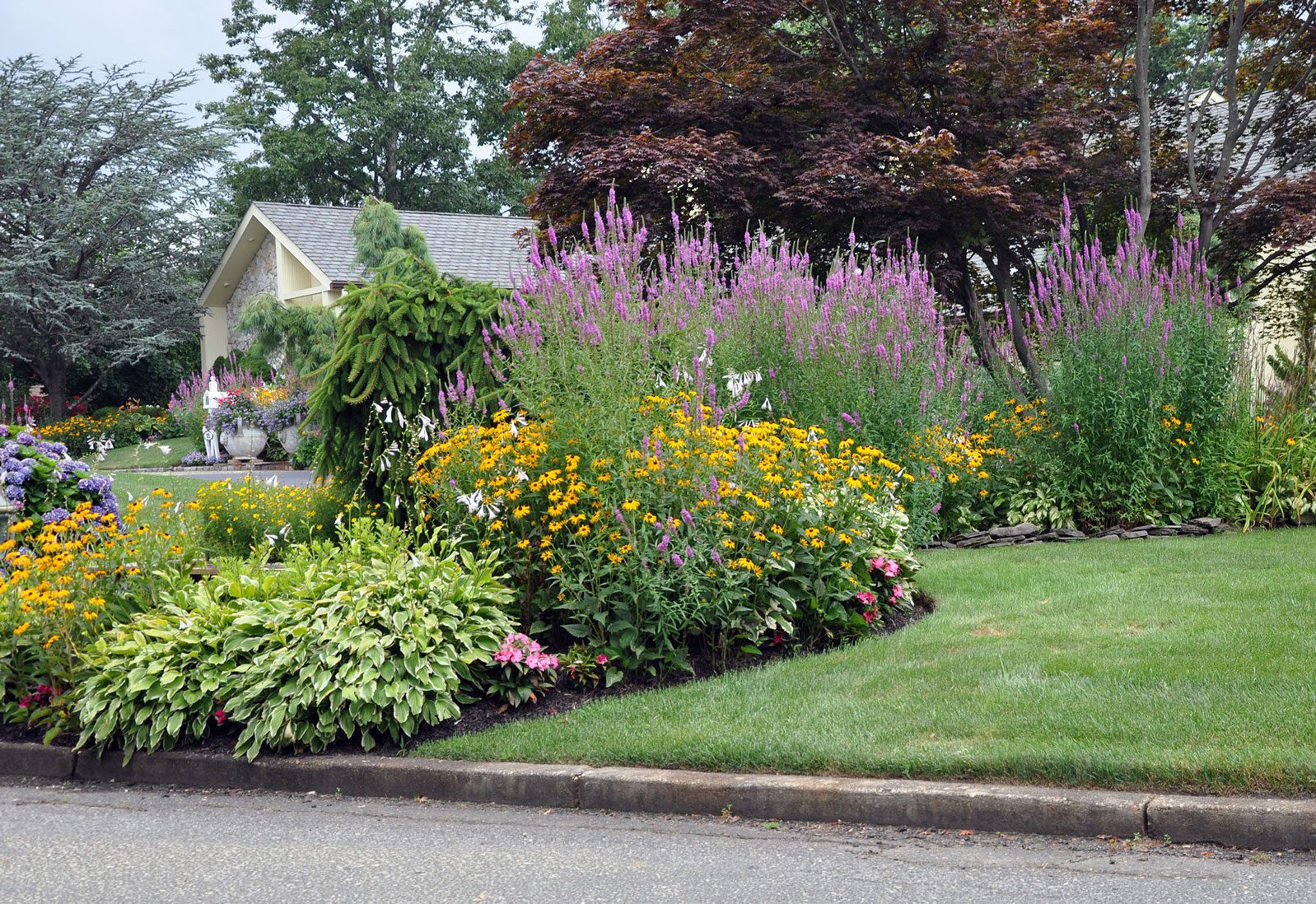 Lawns vs. Native Gardens — What’s easier? The Plant Native