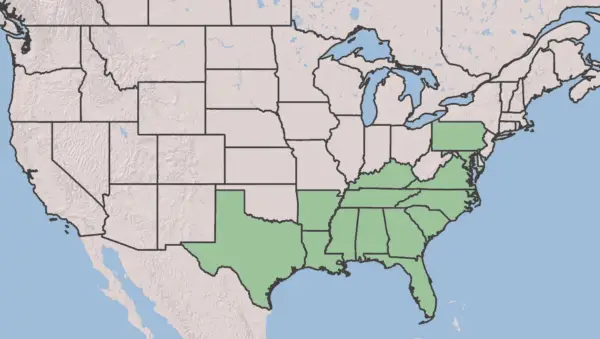A map showing the native range of the Southern Magnolia, from the USDA Plants Database.