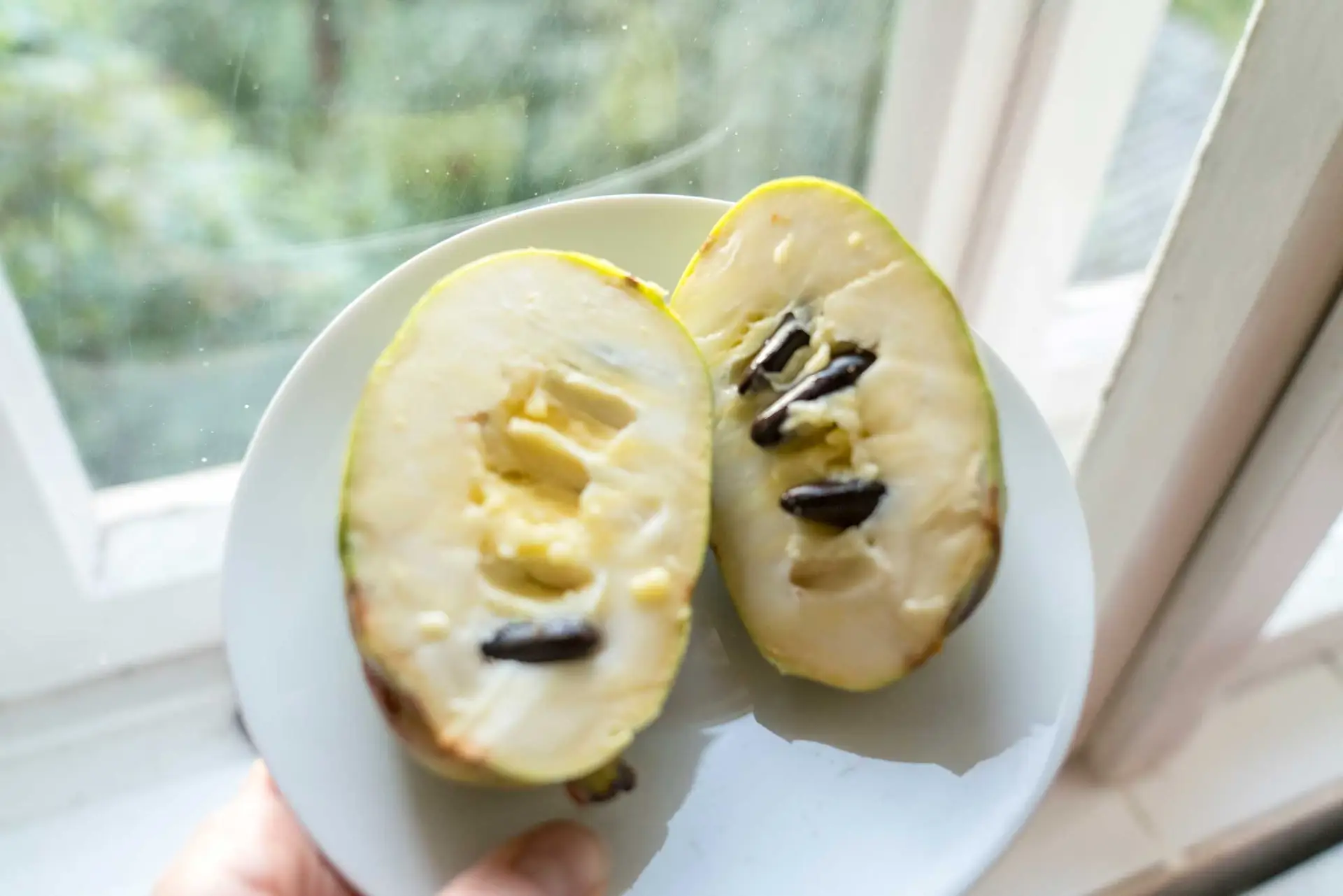 Pawpaw cut in half on a plate, creamy yellow flesh with large dark seeds
