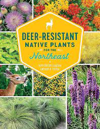 Cover of “Deer-Resistant Native Plants for the Northeast”, a collage of flowers, grasses and a fawn
