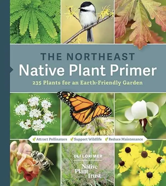 Cover of “The Northeast Native Plant Primer” by Uli Lorimer, with a monarch, chickadee and native flowers