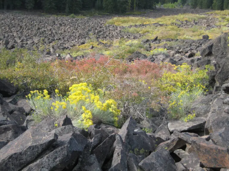 Incredible color, even with minimal water. Image © U.S. Department of Agriculture