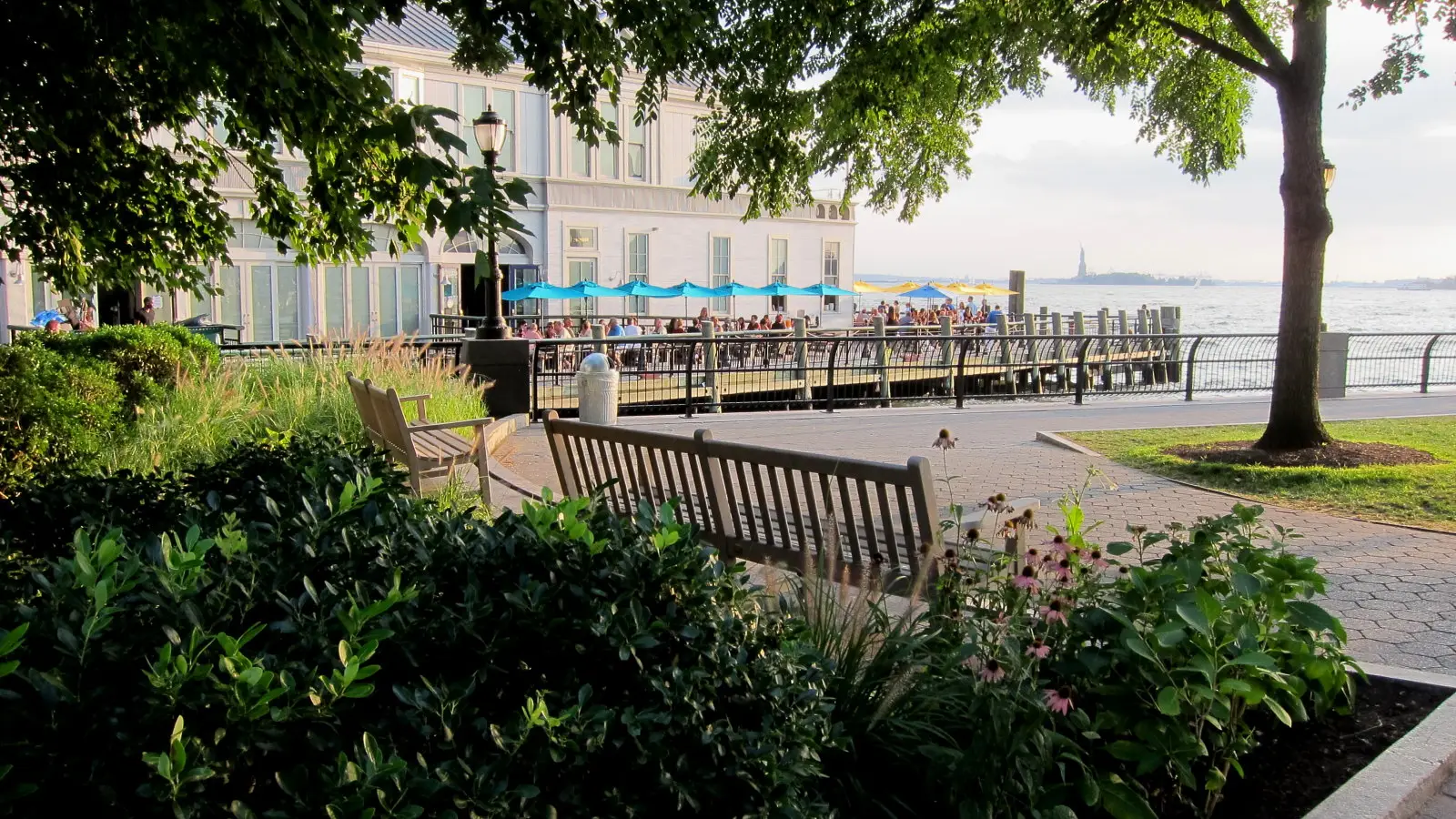 Inkberry shrubs behind a park bench on a waterfront promenade