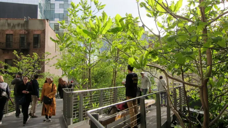 People walk along a wooden elevated walkway with metal railing at The Highline in NYC, surrounded by green trees and city buildings in the background.