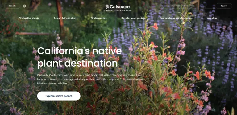 Hero image showing a colorful native plant garden with pink and purple flowers behind the site header text.