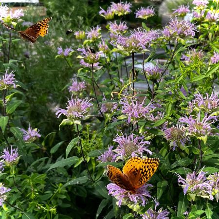 365762093_881169466854887_8289907843694336944_n