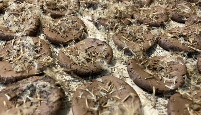 461991131_1029950038926078_6937200902822946664_n