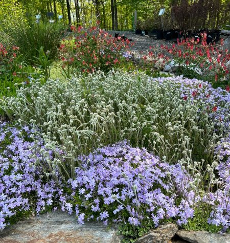 482843388_18351093364197583_474538072194550865_n