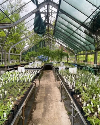 Chesapeake Natives greenhouse interior