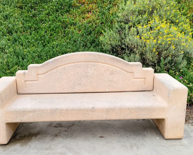 Bladderpod (at right) holds down the sloped landscape alongside the Pacific in Southern California
