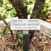 botantical-tag-in-florida