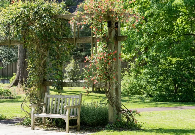 Effortless, decade-lasting landscaping