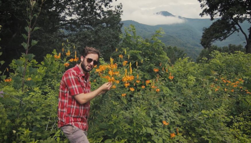 matt-in-defense-of-plants-youtube