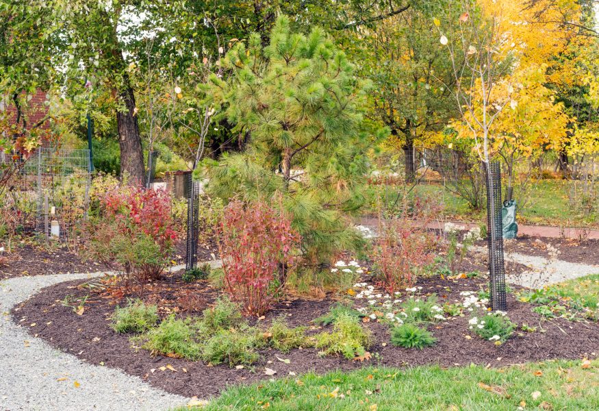 temple-university-at-ambler-food-forest temple-university-at-ambler-food-forest