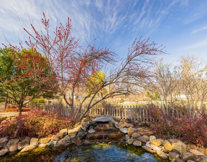 A winterberry anchors a midwestern rain garden in the winter